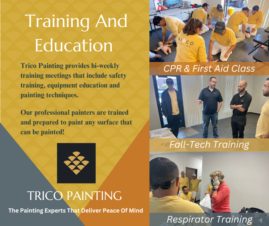 Photos of Trico Painting training classes